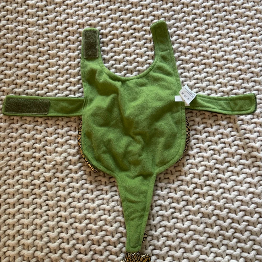 Dragon Pet Costume size small